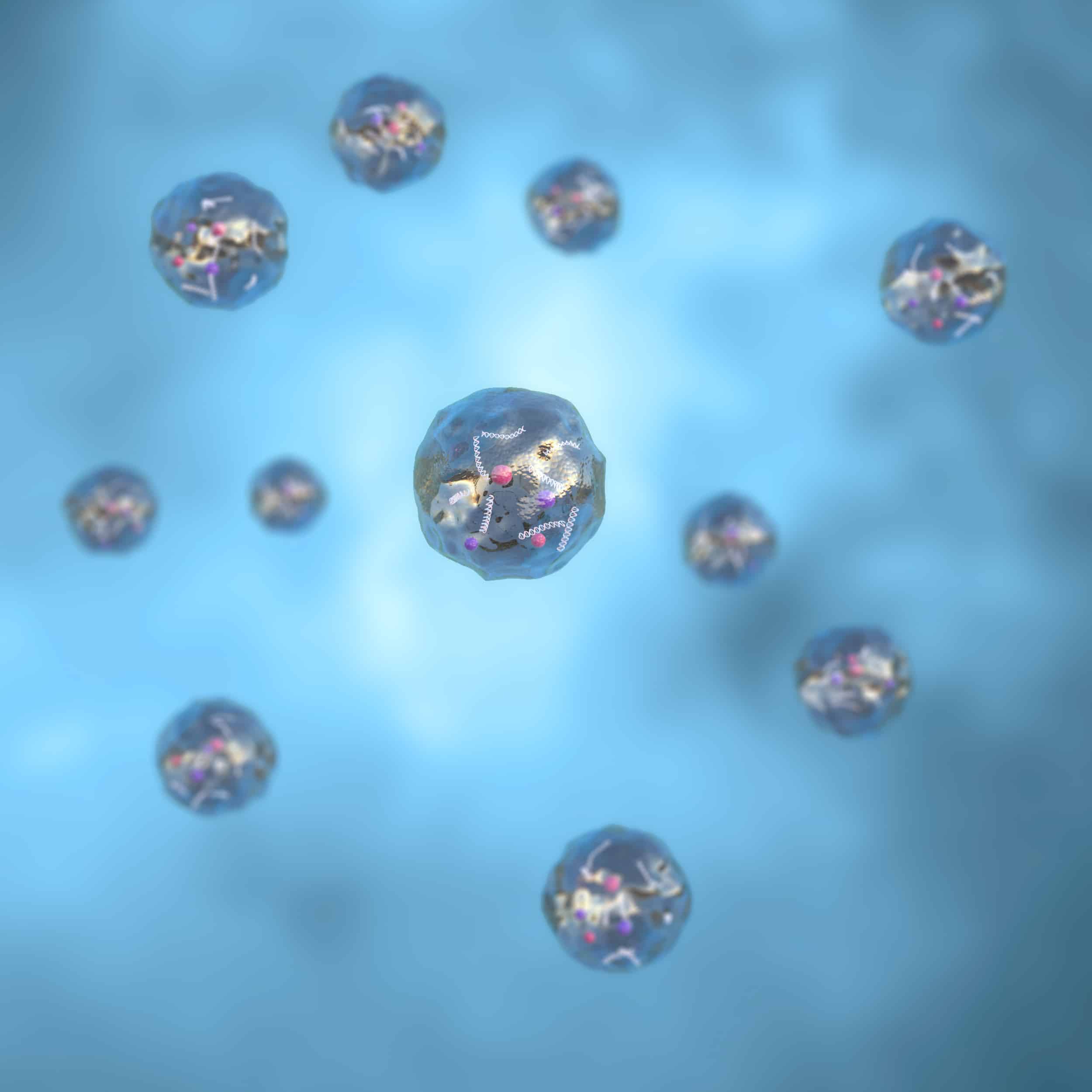 Portrait of 3d exosomes model | Exosomes In San Marcos, CA | Injex Aesthetics and Wellness